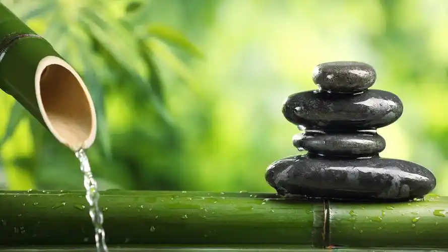 护眼 竹 四季常青 水 绿色图片壁纸(小清新静态壁纸) - 静态壁纸下载