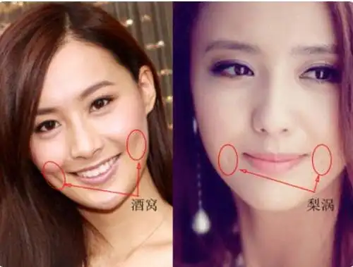 解析:酒窝和梨涡有何区别