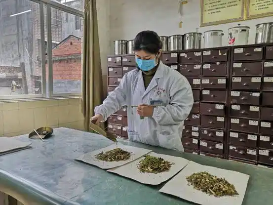 县民族中医院医生正在抓药,配置中药饮品