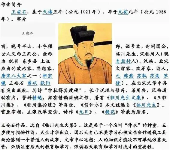 王安石简介