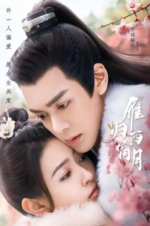 2021年国产大陆电视剧雁归西窗月全32集