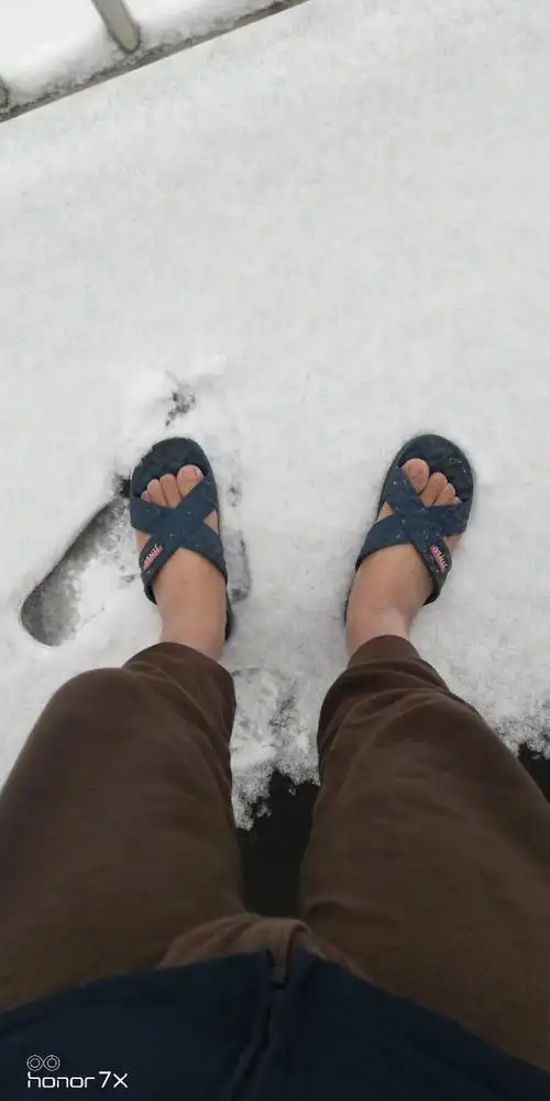 听脚踩过雪地的声音,见难得一见的雪景.