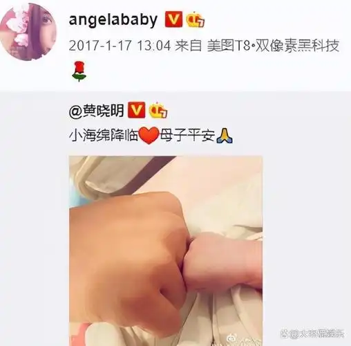 黄晓明之母张素霞曾试图挽救儿子婚姻如今心痛不已