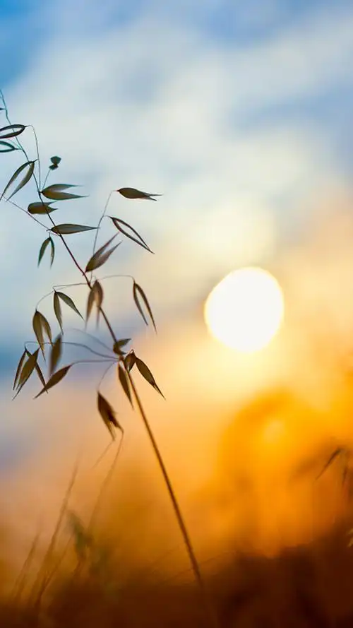 日出,唯美意境,日出,日落,风格,唯美,手机壁纸超美的日出日落