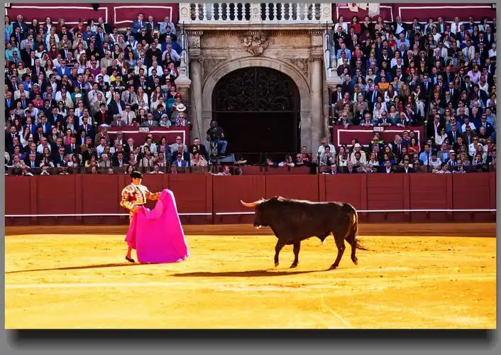 一场经典的西班牙斗牛(待续中)