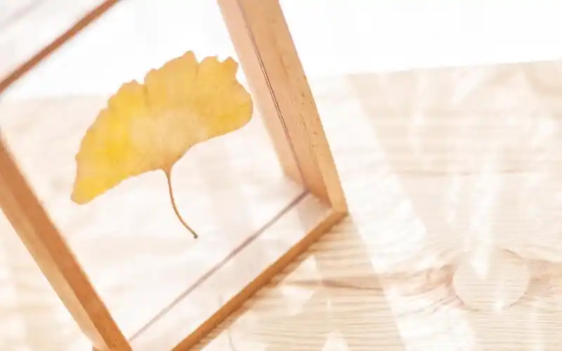 首页 桌面壁纸 风格壁纸 文艺小清新室内唯美静物高清图片壁纸 上一张