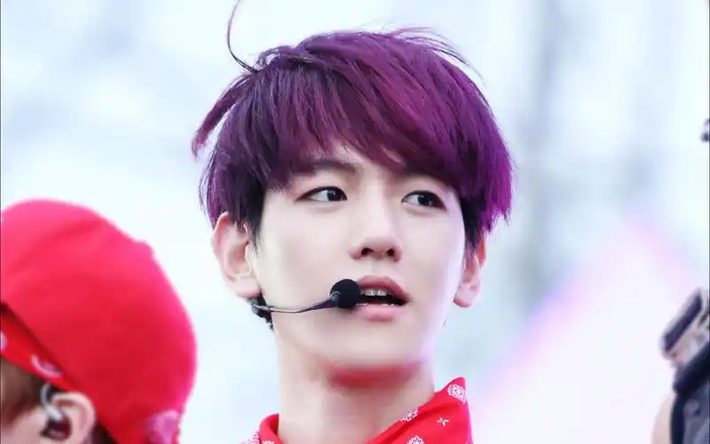 【边伯贤】怀念当年我的紫葡萄小狼