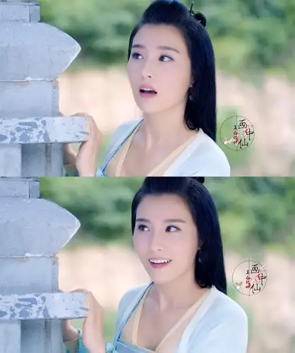 花千骨 赵丽颖 霍建华 白子画 师父 骨头 小骨 长留第一美男子 尊上