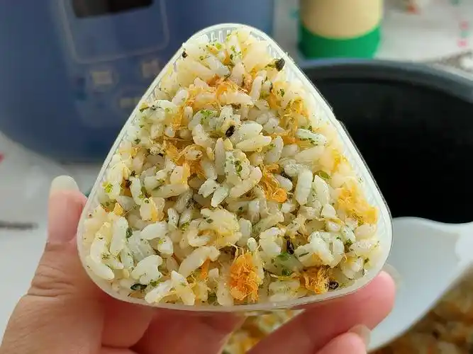 自制海苔肉松饭团,味道超赞,可以做孩子的辅食,营养均衡__财经头条