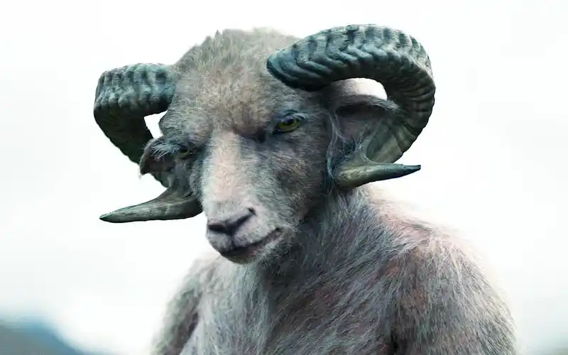 农场夫妇夺走山羊怪幼崽,惹来了杀身之祸!奇幻恐怖电影《羊崽》