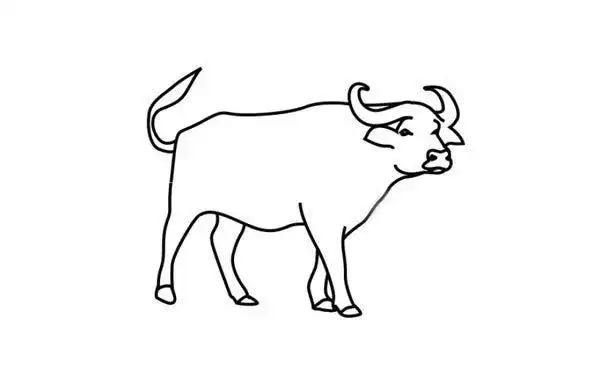 水牛简笔画步骤图片大全