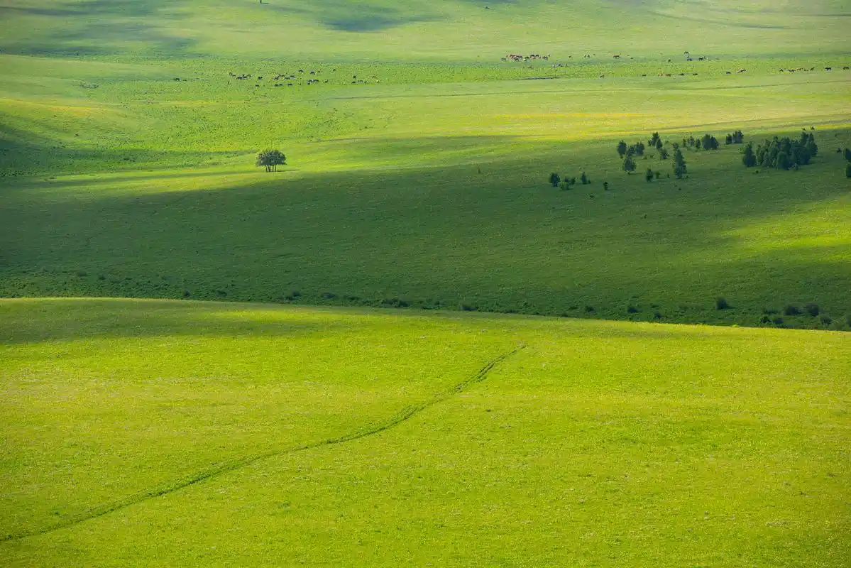 美丽伊犁,喀拉峻大草原:草原风光与湖泊交相辉映