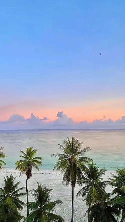 朋友圈文案##日常文案##微信状态背景图##小众壁纸##朋友圈自拍文案