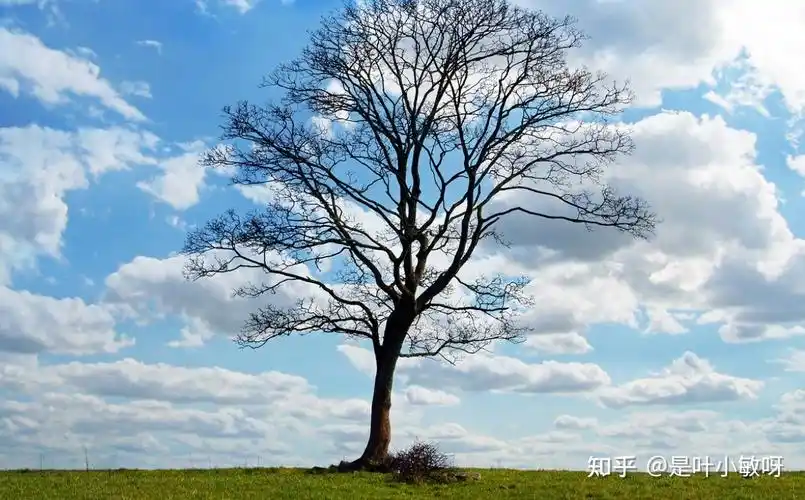 有什么看起来很舒服高级的微信背景图