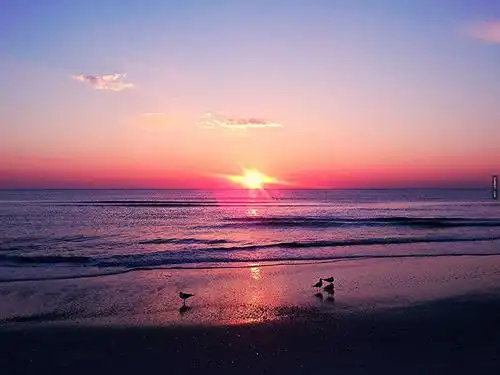 世界上最美的日出 #12绝对可以给你一个起床的理由!