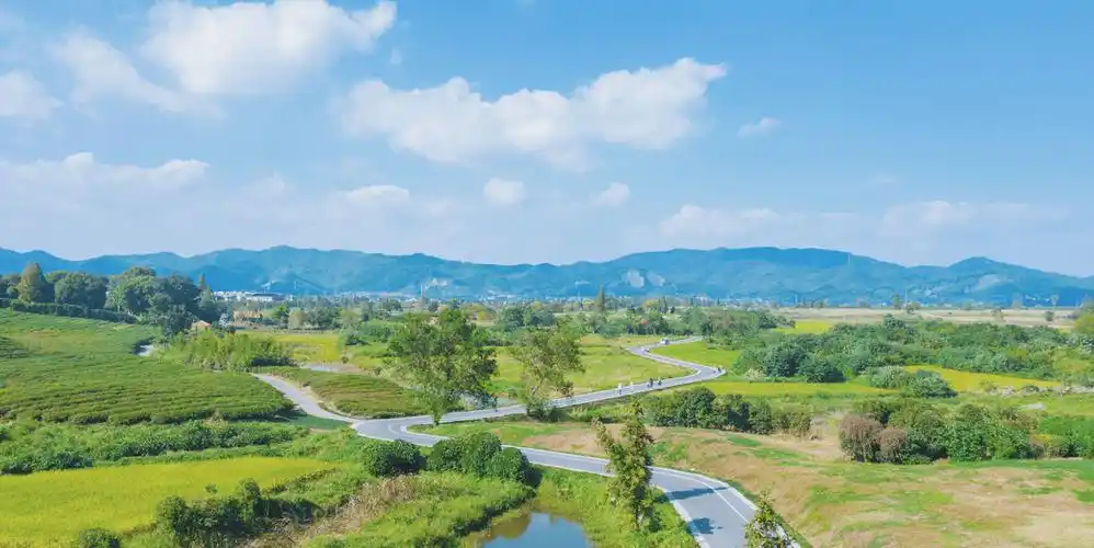杭州良渚古城遗址的夏日美景
