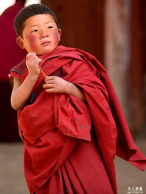 搜狐旅游_搜狐网原标题:红扑扑的脸蛋是雪域高原的象征!