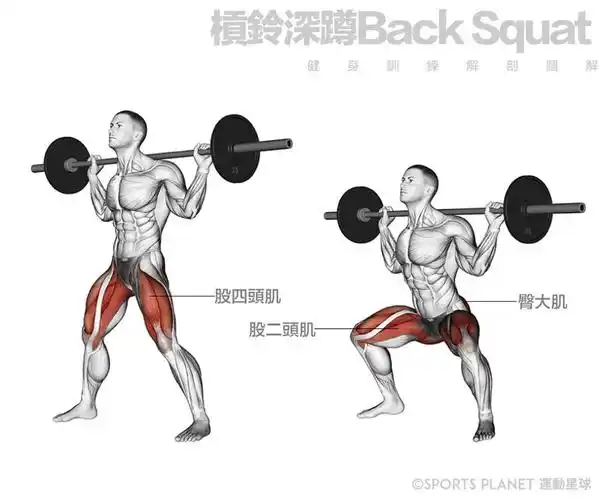 怎样锻炼大腿肌肉 图解