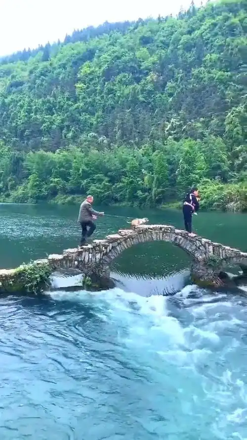 小桥流水人家风景美如画的地方生活在这里的人也太幸福了