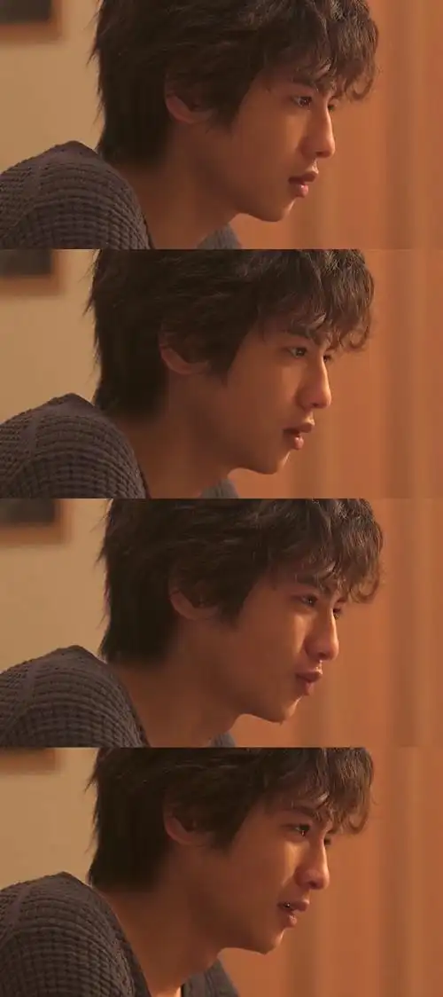 有无看过宠物情人