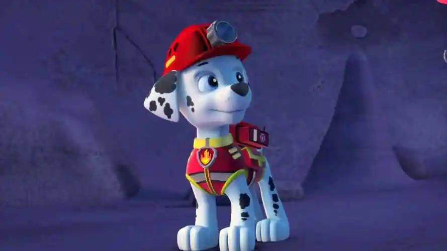 汪汪队莱德受伤狗狗的悉心照顾