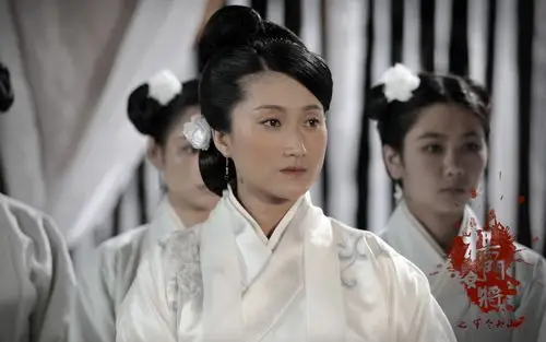 张柏芝杨门女将之军令如山