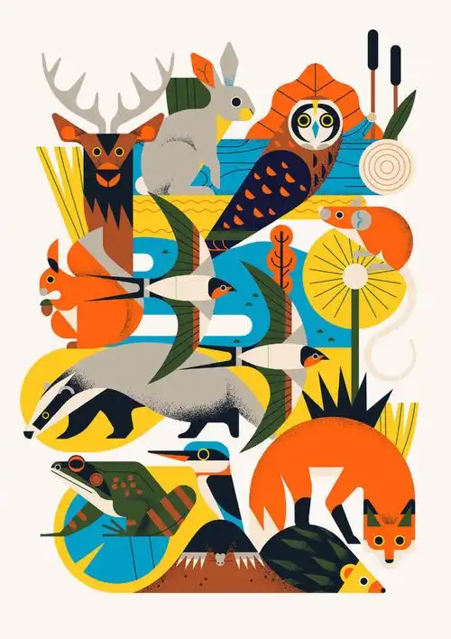 【插画设计】来自插画师 owen davey 绘画作品 | www.owendavey.com