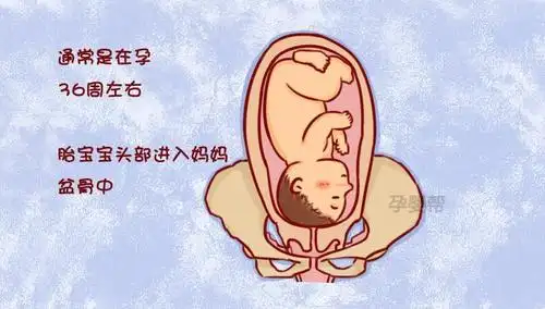 胎儿入盆是什么感觉, 这6种症状告诉你