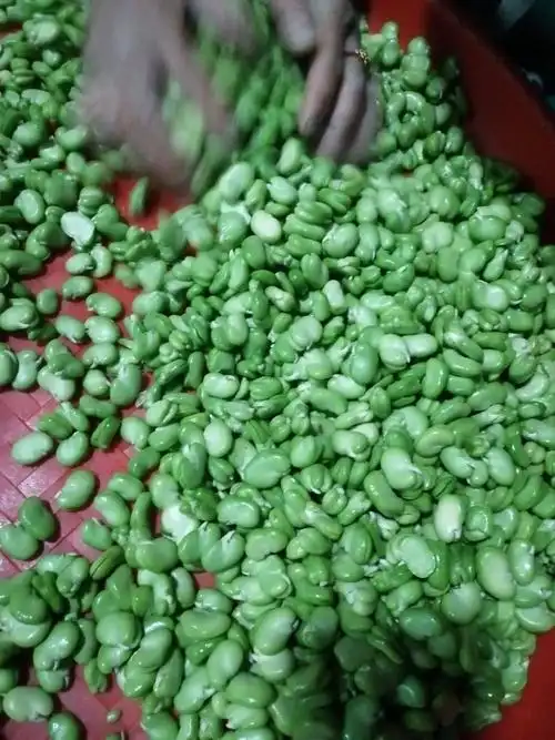 唐学鹏 - 惠农网基础店铺 - 惠农网