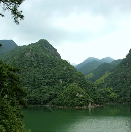 不算太详细  就这样吧