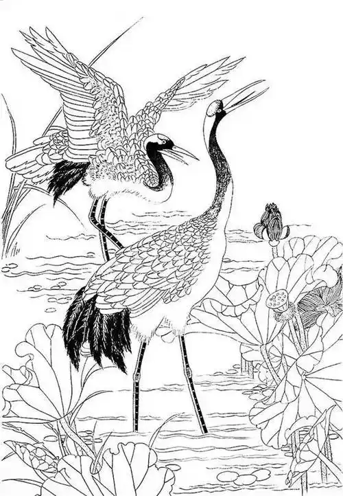 一组白描仙鹤,惟妙惟肖︱艺术名画