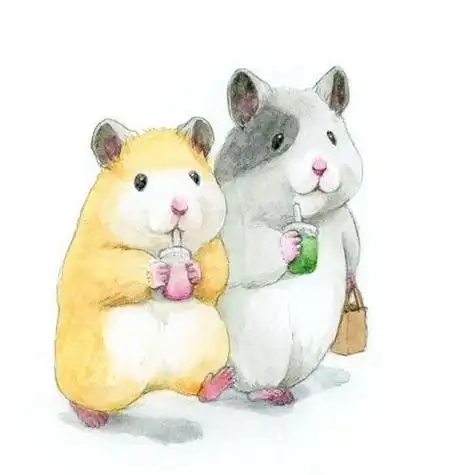 q版仓鼠萌图头像 头像图片大全 -【爱个性】