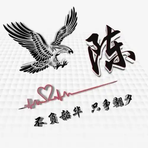 qq头像男生最新头像带字我姓陈