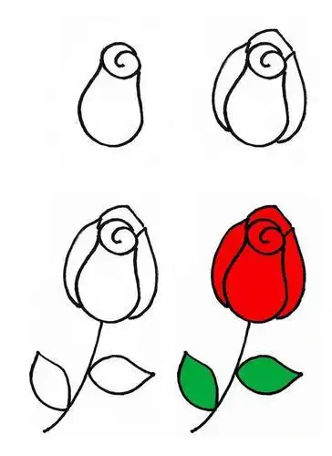 漂亮的花朵简笔画素材随着步骤画简单几笔就能画出来