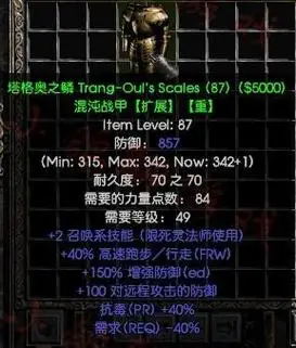 盔甲:蛇魔法师之皮或者塔格奥套装衣服,前者加1技能,后者加2技能.