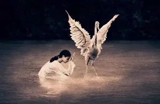 他的照片没有名字,却直击灵魂深处