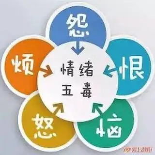 images tagged with 心理辅导 on instagram