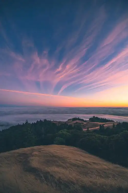田野,云,天空,日落,日出,户外,树木,林地,森林,草地,山,风景,地平线