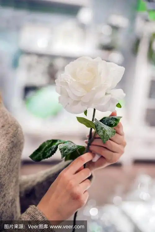 美丽的女人手上拿着玫瑰.手里拿着一朵娇嫩的花