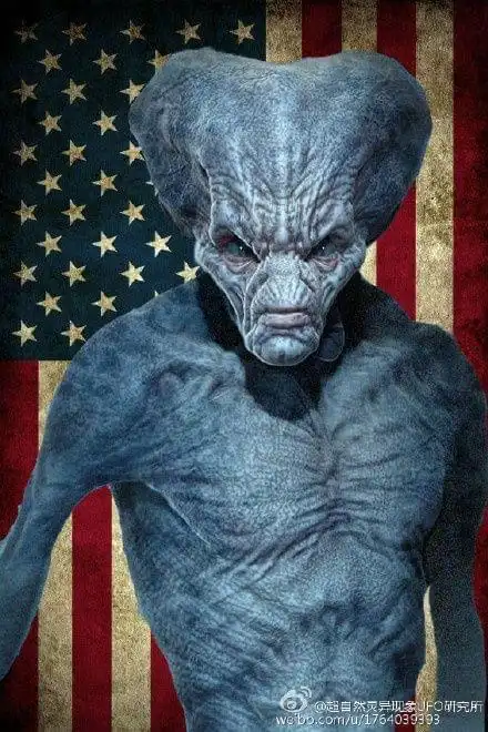 各种外星人种类大揭秘