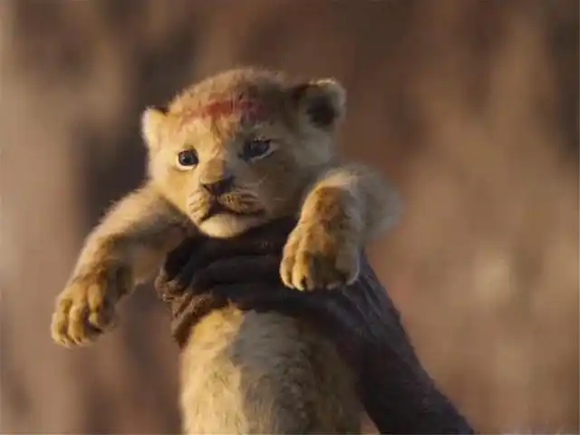 《狮子王》:孩子自我意识发展,关乎孩子一生|孩子|辛巴|意识|木法沙