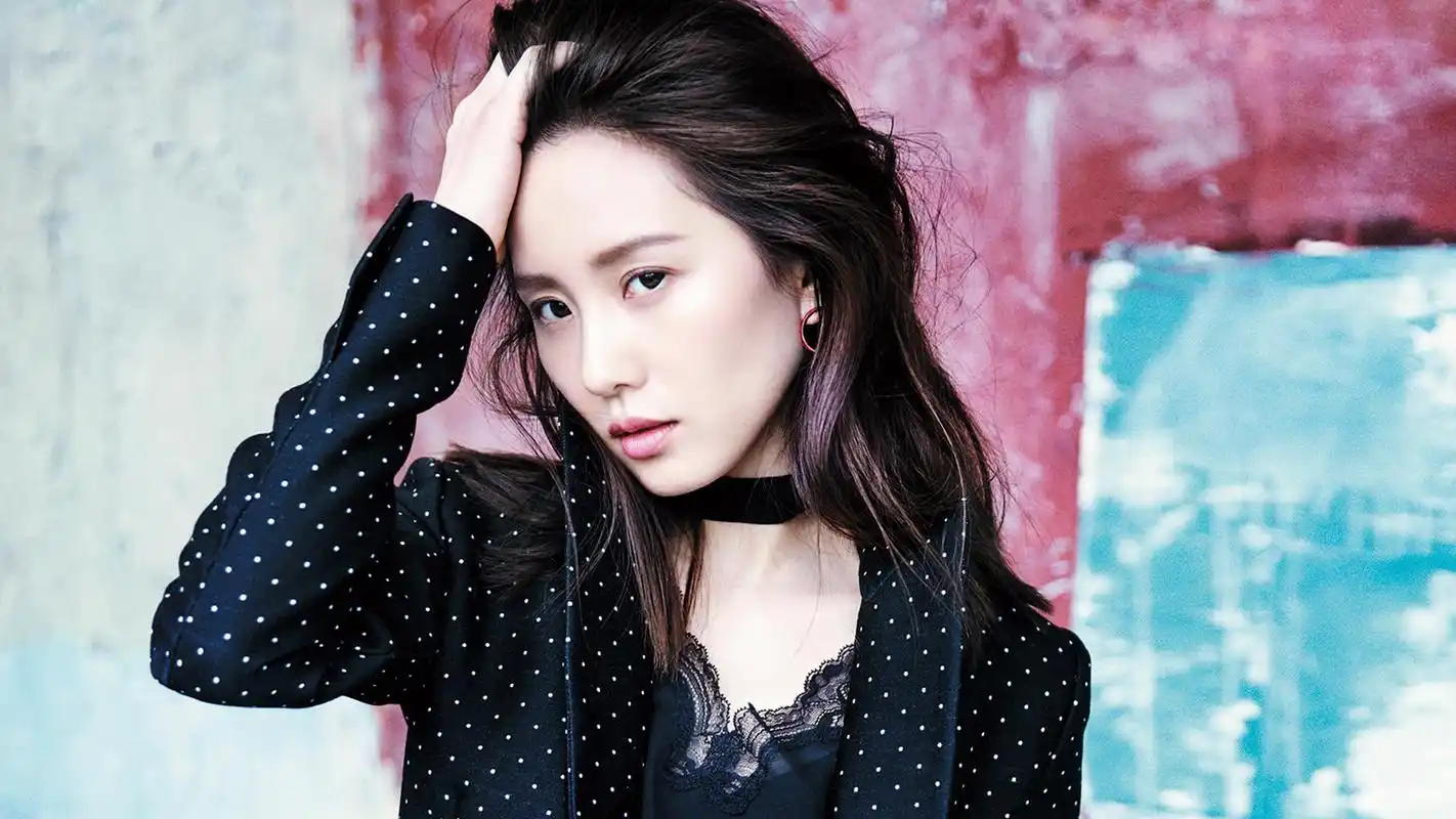 美女刘诗诗时尚写真壁纸大合集