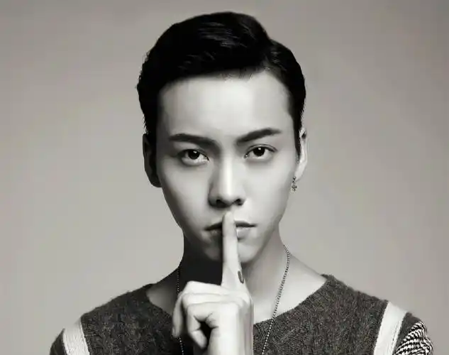 陈伟霆:敬业上进的美男子