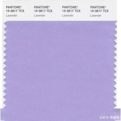 2020年居然最流行这个颜色!