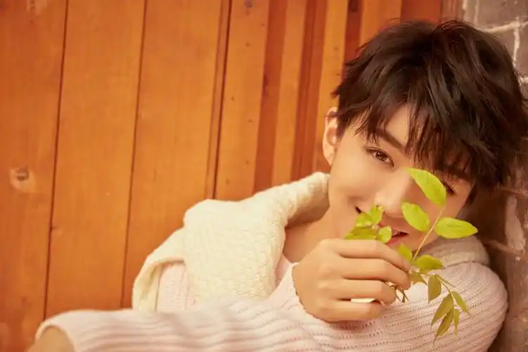 王俊凯高清无水印美图