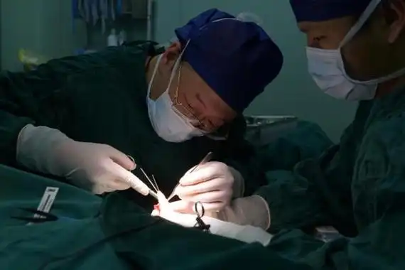 科索沃女孩先天右手畸形,父母慕名而来,协和手外科为.