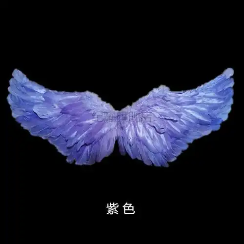 万圣节天使翅膀道具花童走秀恶魔翅膀装饰羽毛儿童玩具白色粉色皇冠