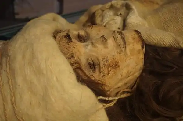 北大博物馆最近的展览有"小河公主"干尸