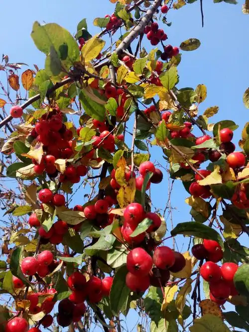 阳光正好,我们在一起