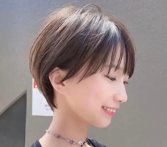 也不像狼尾鲻鱼头那样随意,而是介于两者之间,既拥有狼尾鲻鱼头高层次